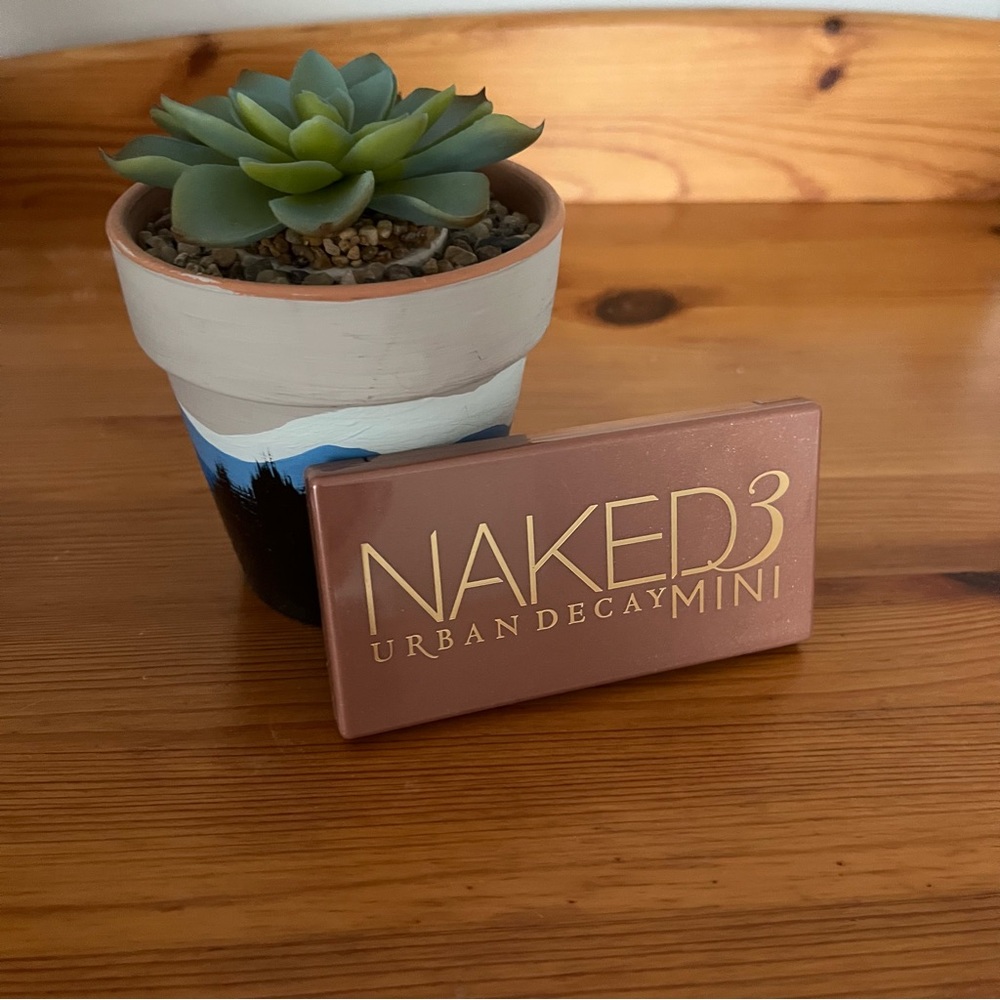 Naked // NWOT // naked 3 mini palatte